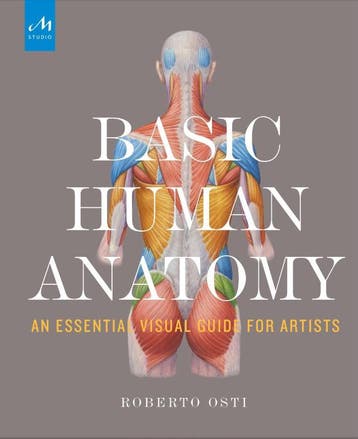 Basic Human Anatomy | Roberto Osti; Peter Drake | Nieuw, Boeken, Verzenden, Nieuw, Roberto Osti; Peter Drake