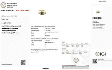 Ring - 18 karaat Geel goud - 2.82ct. tw. Diamant