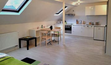 Appartement en Rue de la Victoire, Saint-Gilles, 20 à 35 m², Bruxelles
