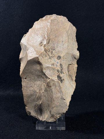 Paleolithisch Robuuste Acheuléen Vuistbijl / Klover –