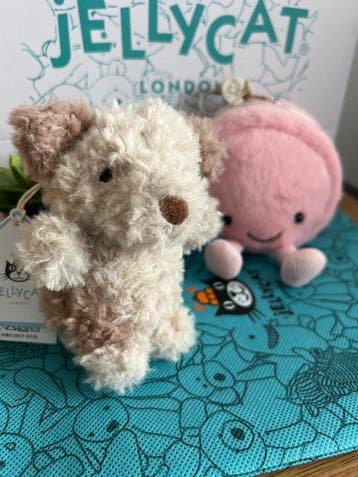 Jellycat - Jouet Bashful Puppy und Macaroon - 2010-2020 -