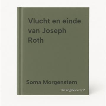 Vlucht en einde van Joseph Roth 9789028223271, Verzenden, Gelezen, Soma Morgenstern