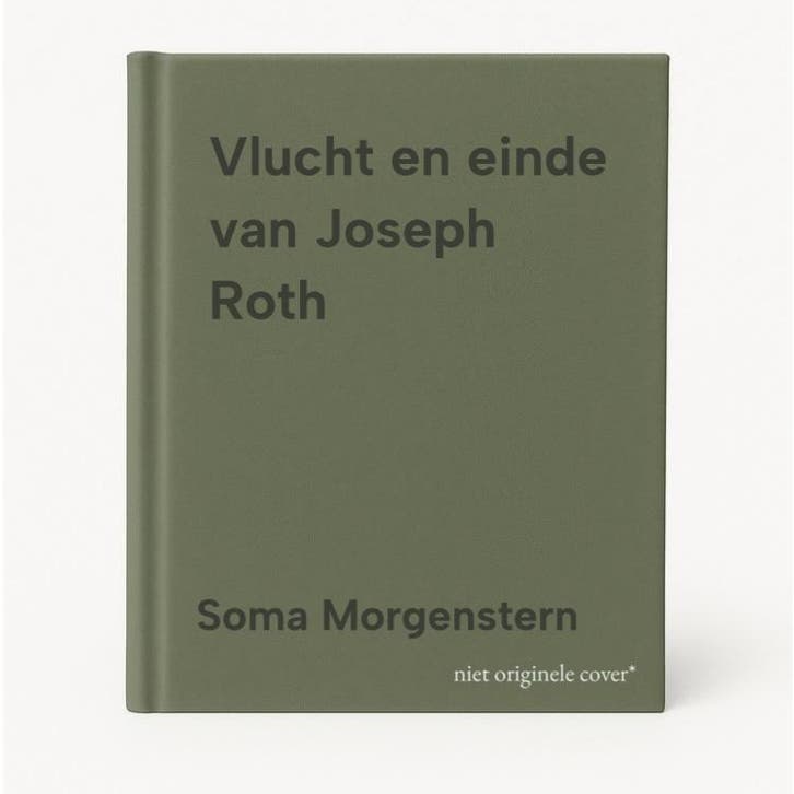 Vlucht en einde van Joseph Roth 9789028223271, Boeken, Literatuur, Gelezen, Verzenden