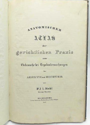 Johann Ludwig Diehl - Anatomischer Atlas für Aerzte und