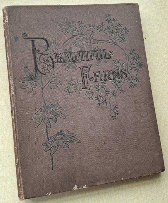 Faxon, Emerton & Eaton - Beautiful Ferns - 1892, Antiquités & Art, Antiquités | Livres & Manuscrits