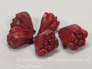 Kiyafruit Rood Noten 300 gram