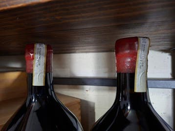 2020 La Trava Barbera dAsti - Langhe DOCG - 2 Dubbele, Nieuw