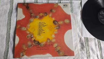 Blind Melon - Blind Melon - LP - 1ste persing, 1ste stereo, Nieuw in verpakking