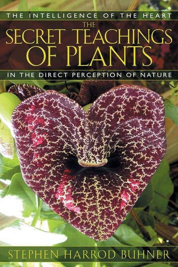 The Secret Teachings of Plants 9781591430353, Verzenden, Gelezen, Stephen Harrod Buhner