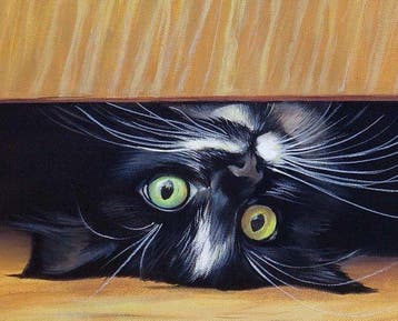 Gala - Cat animal painting - Playtime