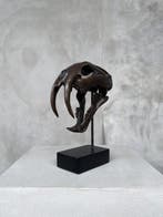 sculptuur, NO RESERVE PRICE - Smilodon - 20 cm - Brons