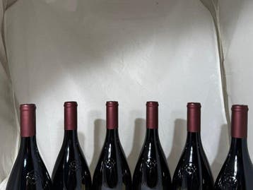 2024 Cantina Terlan, Torilan Merlot- Cabernet - Zuid-Tirol ·, Nieuw
