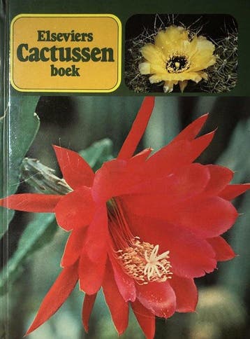 Elseviers cactussenboek - Bravenboer, Verzenden, Nieuw