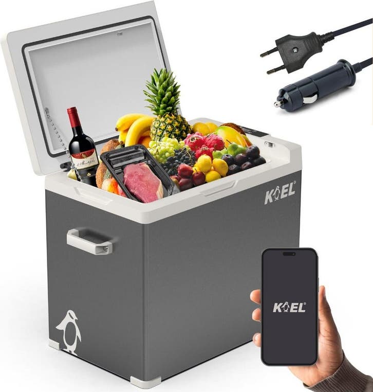KOEL Crate 50 Compressor Koelbox Elektrisch 12V en 230 Volt, Caravanes & Camping, Glacières, Envoi