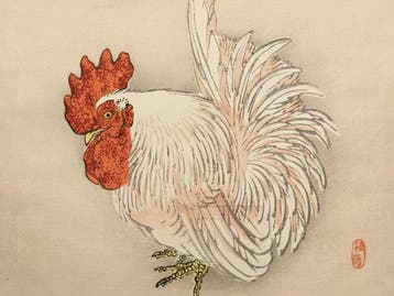 Antieke Japanse houtblok prent van een krielkip - Kno