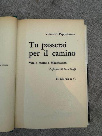 Signed; Vincenzo Pappalettera - Tu passerai per il camino -