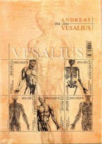 België 2014 - Volledige Collectie Blokken, Carnets en Zegels, Gestempeld