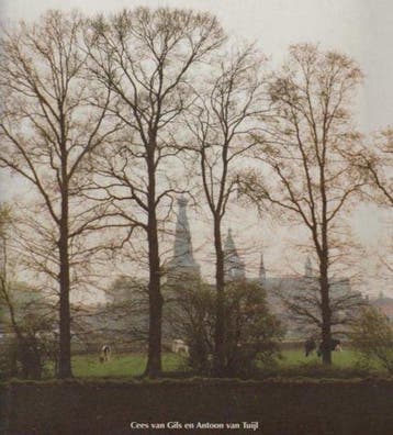 Bomen in Baarle 9789090179292 Lize Stilma, Verzenden, Gelezen, Lize Stilma