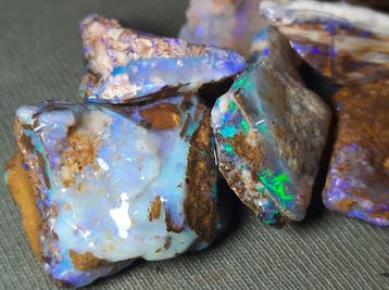 59,2 ct - « RARE » Lot de fossiles de bois opale naturelle -, Collections