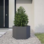 vidaXL Plantenbak zeshoek 69x60x45 cm staal antracietkleurig, Tuin en Terras, Verzenden, Nieuw