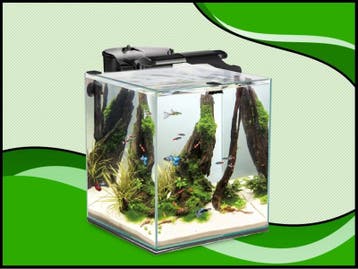 Aquael nano cube set duo - 49 liter zwart aquarium, Dieren en Toebehoren, Verzenden, Nieuw