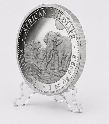 Somalie. 100 Shilling 2026 – African Wildlife Series –