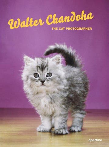 Walter Chandoha 9781597114530 Walter Chandoha, Livres, Verzenden, Walter Chandoha