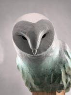 Federico Alibrio - Aquamarine Stillness - Barn Owl