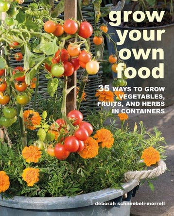 Grow Your Own Food 9781800650053 Deborah Schneebeli-Morrell, Verzenden, Gelezen, Deborah Schneebeli-Morrell