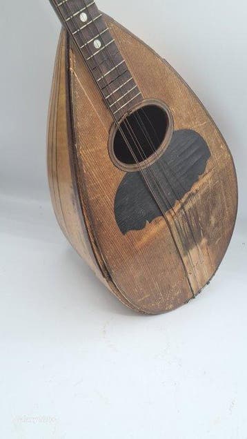 Fratelli vinaccia - - Mandoline - Italië - 1904 (Zonder