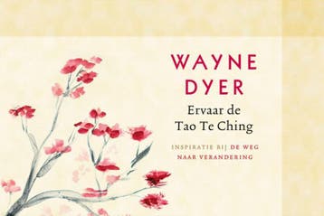 Ervaar de Tao Te Ching 9789021550503 Wayne W. Dyer, Boeken, Verzenden, Gelezen, Wayne W. Dyer