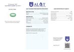 Geen reserveprijs - ALGT-gecertificeerd - Grote en zeer