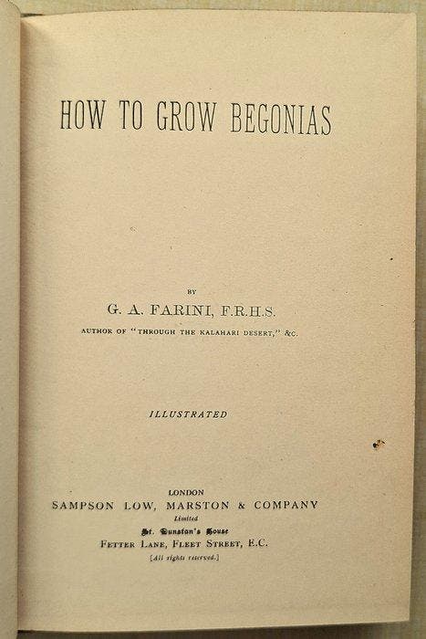 G. A. Farini - How to Grow Begonias - 1896, Antiek en Kunst, Antiek | Boeken en Manuscripten