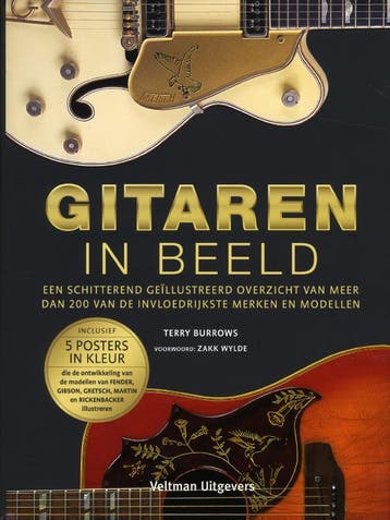 Gitaren in beeld 9789048305902 Terry Burrows, Verzenden, Terry Burrows