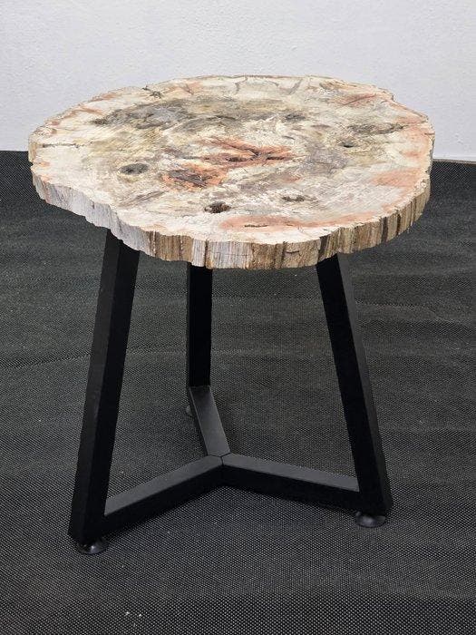 Gefossiliseerd hout - 46 cm - 60 cm, Verzamelen, Mineralen en Fossielen