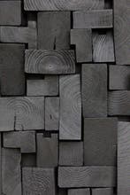 Vova Titov - coal forest