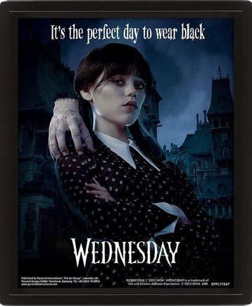 Wednesday 3D Lenticular Framed Poster Perfect Day 26 x 20 cm, Verzamelen, Ophalen of Verzenden, Nieuw