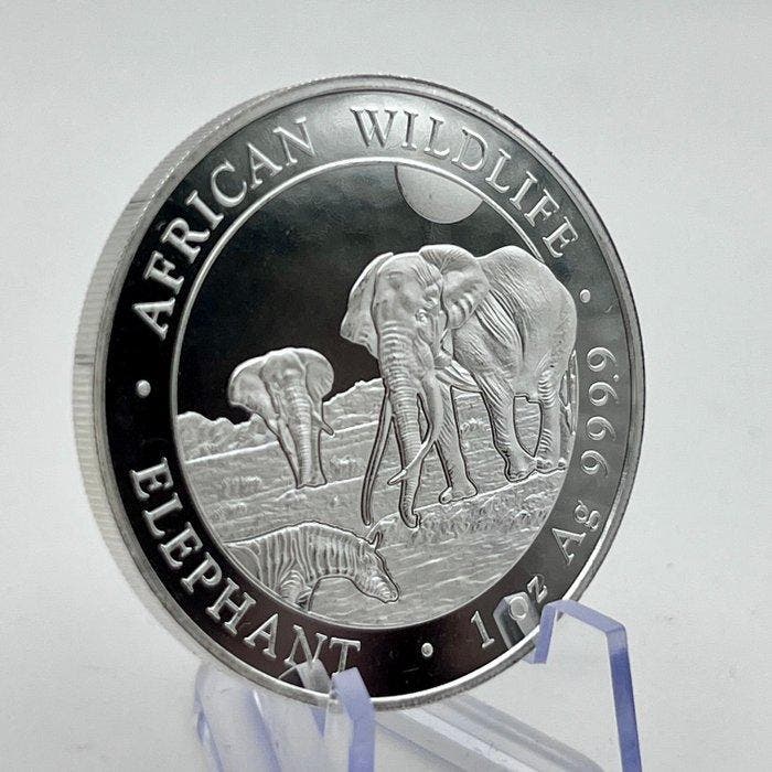 Somalie. 100 Shilling 2026 – African Wildlife Series –, Timbres & Monnaies, Monnaies | Europe | Monnaies non-euro