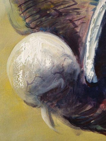 Artur Sudak - Icarus
