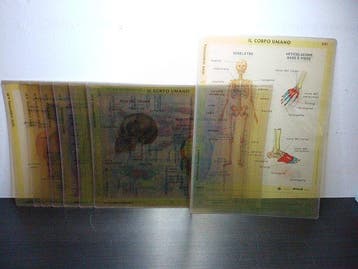Lesmateriaal (8) - RICO Firenze - Plastic - 1960-1970 - Nr.