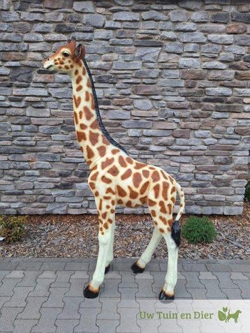 Beeld Giraf Staand 186cm Original, Ophalen, Nieuw, Overige materialen, Dierenbeeld