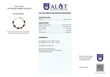 Zonder minimumprijs - Armband Zilver - Garnet -