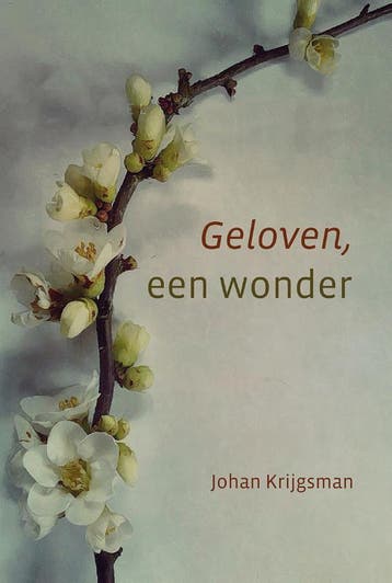 Geloven een wonder 9789033130908 Krijgsman, Verzenden, Gelezen, Krijgsman