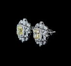 Boucles doreilles cloutées - 14 carats Or blanc - 4.56ct.