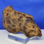 XL IJZERMETEORIET Campo del Cielo (Argentinië, 4500 jaar)