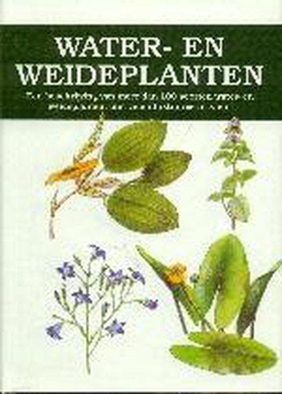 Water- en Weideplanten 9789058410498 V. Vetvicka, Boeken, Hobby en Vrije tijd, Gelezen, Verzenden