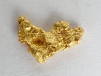 Goud Natif, pepite uit Suriname of Frans-Guyana (gouden