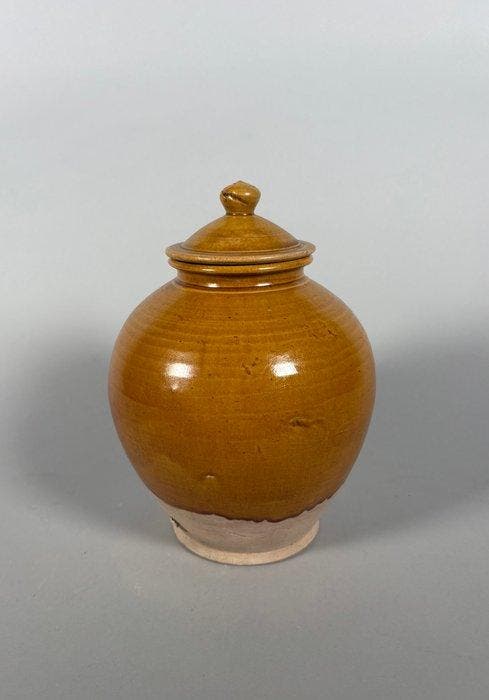Oud Chinees - Tang-dynastie, bruin geglazuurd Vaas - 25 cm, Collections, Minéraux & Fossiles