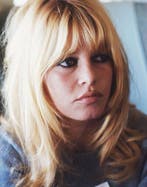 Shahrokh Hatami - Brigitte Bardot