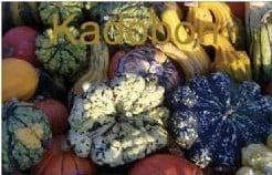 Cadeaubon Kadobon 7,50 euro, Hobby & Loisirs créatifs, Bricolage